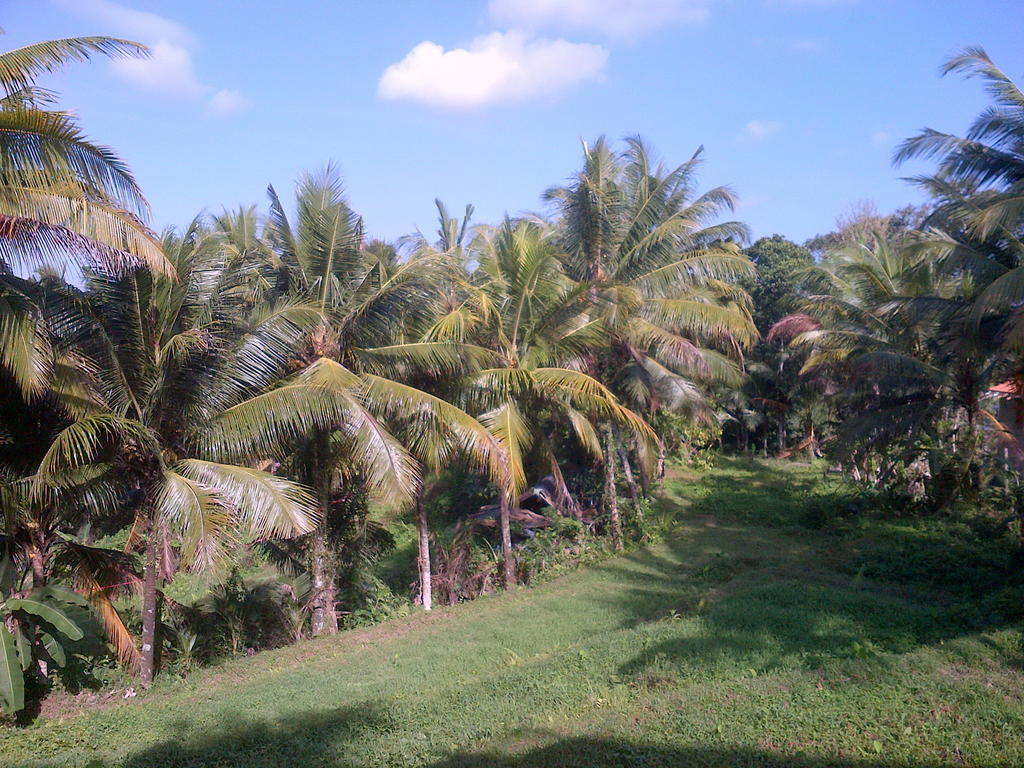 Dewa House Bisma Hotel Ubud  Bagian luar foto