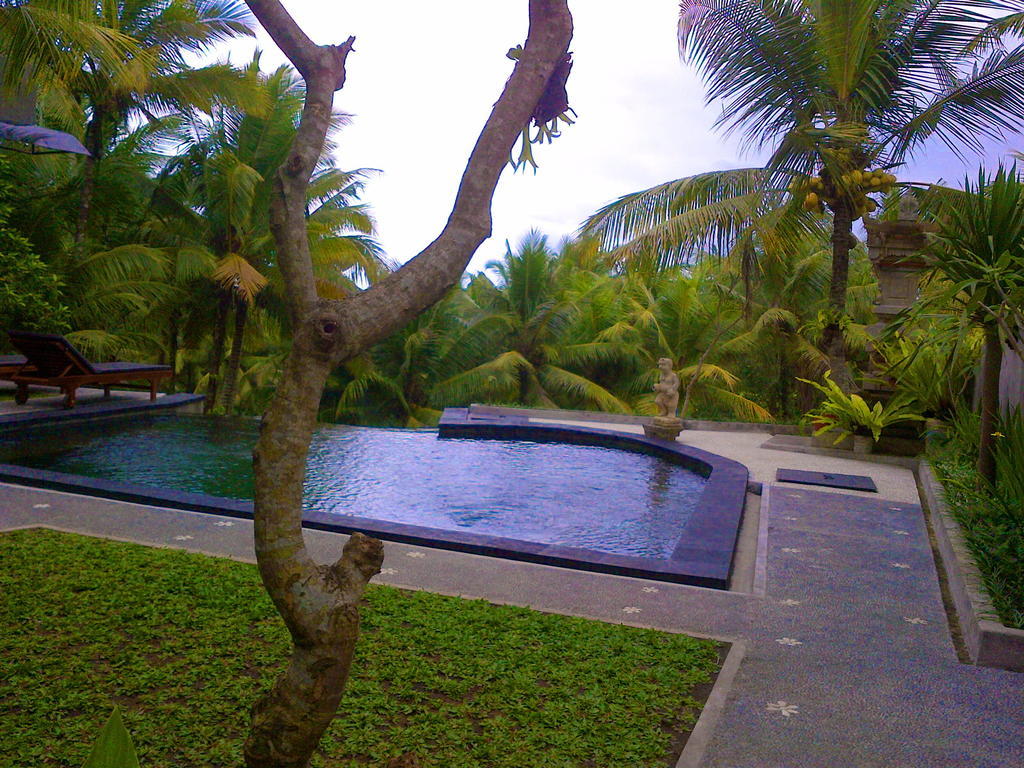 Dewa House Bisma Hotel Ubud  Bagian luar foto